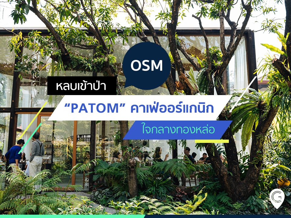 หลบเข้าป่า “PATOM” คาเฟ่ออร์แกนิกใจกลางทองหล่อ