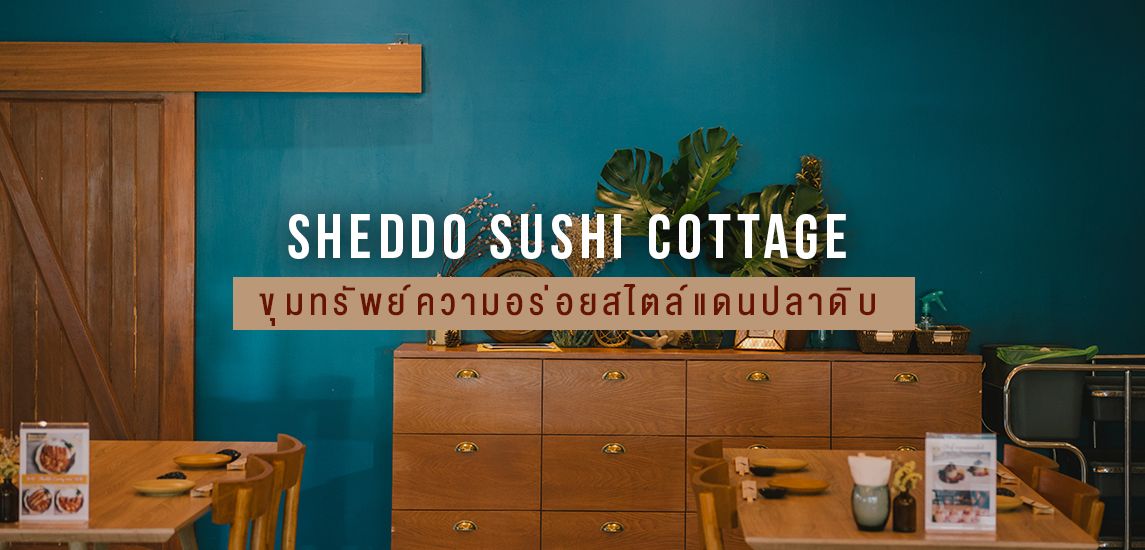 Sheddo Sushi Cottage ขุมทรัพย์ความอร่อยสไตล์แดนปลาดิบ