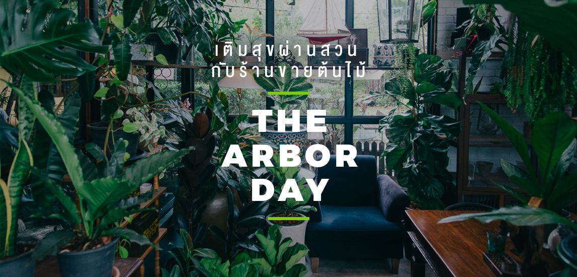 เติมสุขผ่านสวนกับร้านขายต้นไม้ The Arbor Day