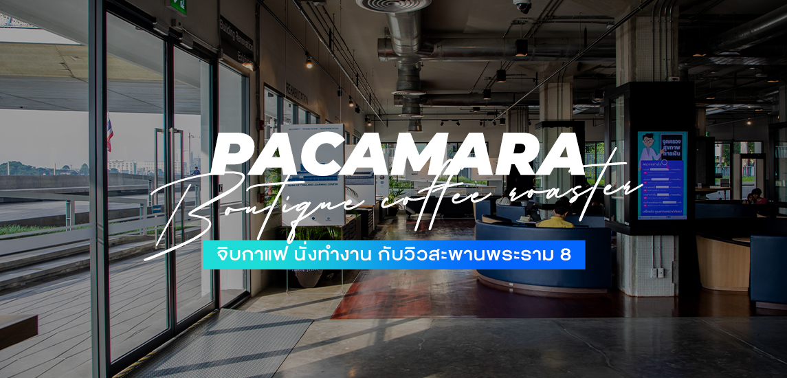 Pacamara Boutique Coffee Roaster จิบกาแฟ นั่งทำงาน กับวิวสะพานพระราม 8