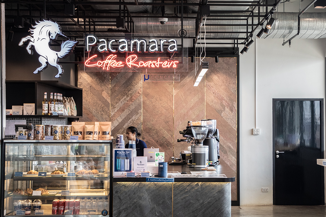 Pacamara coffee deals