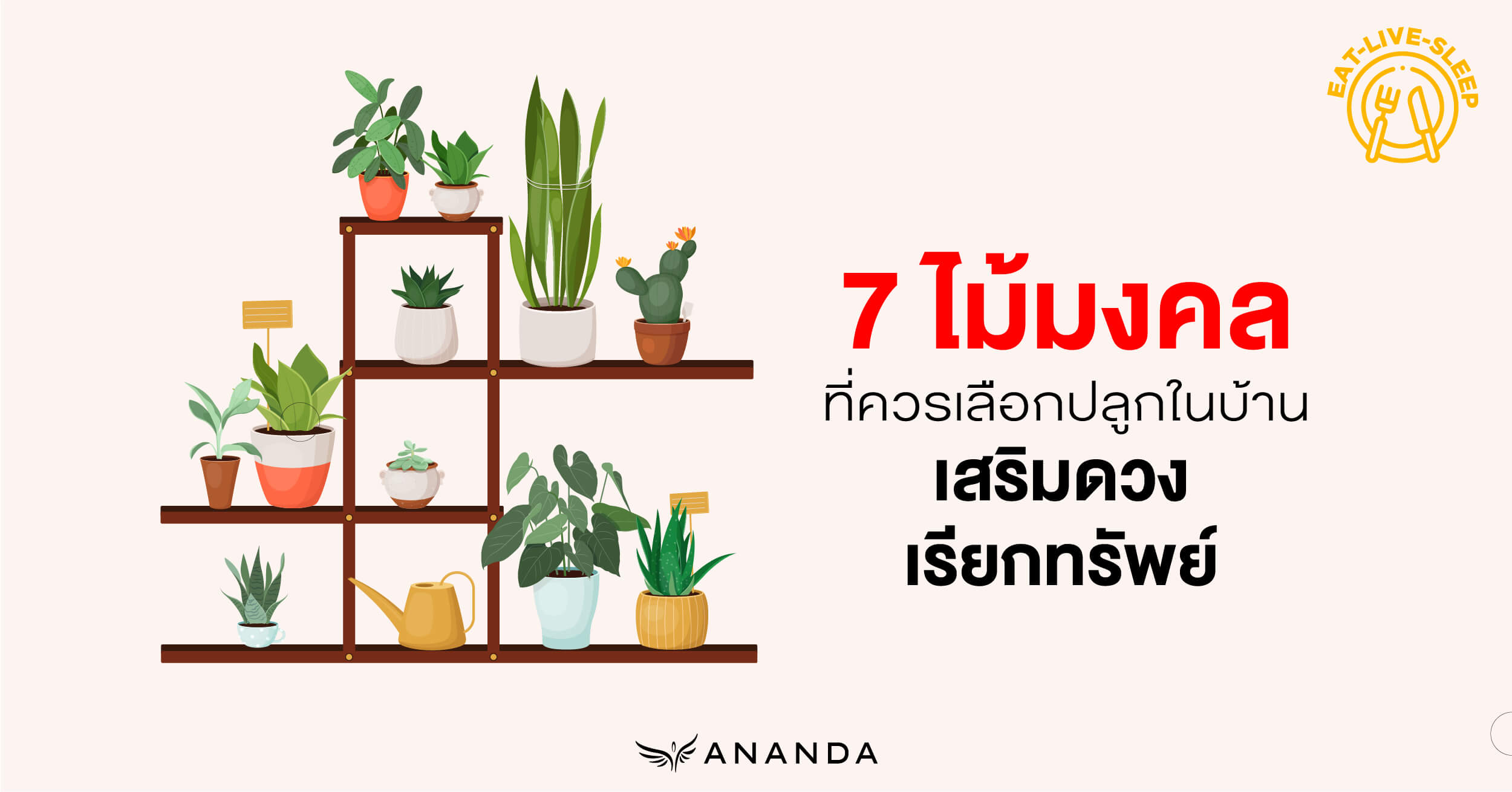 7 ไม้มงคลที่ควรเลือกปลูกในบ้าน เสริมดวง เรียกทรัพย์