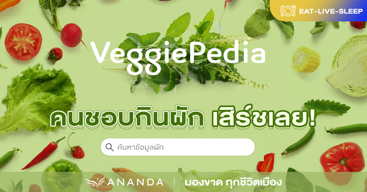 คนกินผัก…รักเลย Veggiepedia คลังข้อมูลผัก พร้อมสูตรเมนูชิคๆ