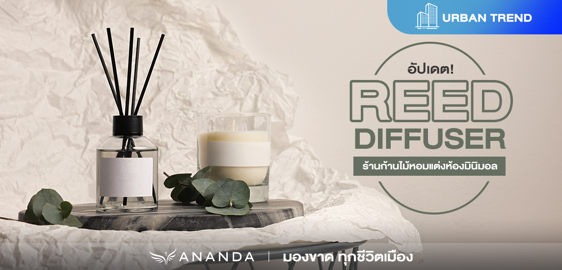 อัปเดต Diffuser น้ำหอมก้านแต่งห้อง หอมอบอวล