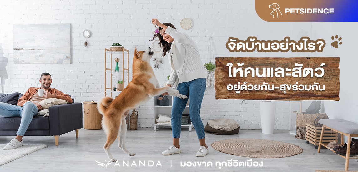 จัดบ้านให้เป็นมิตรกับสัตว์และคนอยู่อาศัย