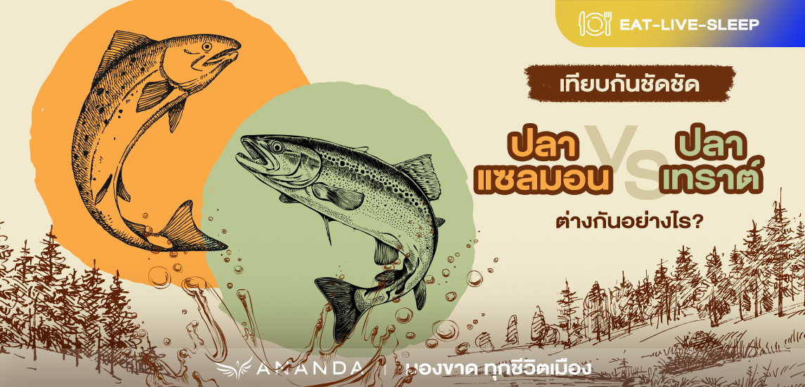 เทียบกันชัดชัด ปลาแซลมอน VS ปลาเทราต์ต่างกันอย่างไร?