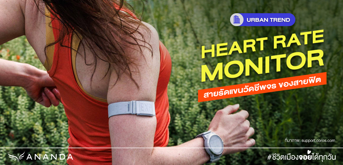 Heart Rate Monitor สายรัดแขนวัดชีพจร ของคนออกกำลังกาย