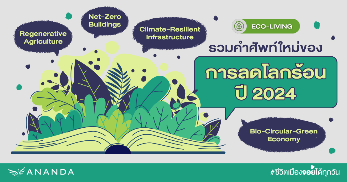 รวมคำศัพท์ใหม่ของ การลดโลกร้อน ปี 2024